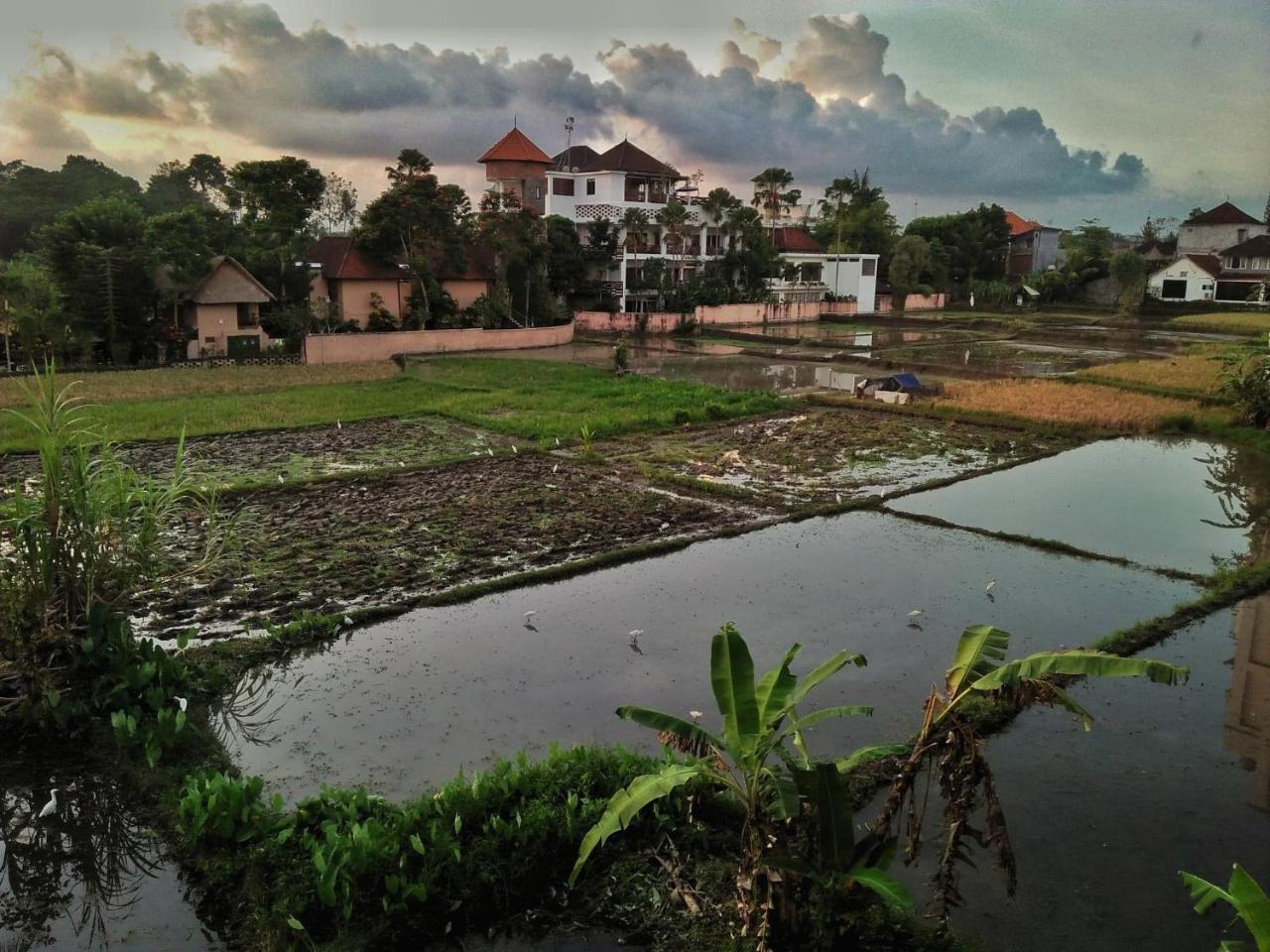 Nuriani Rooms Ubud  Exterior photo